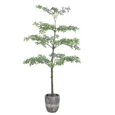 Artificial Terminalia Tree best