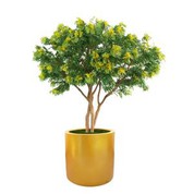 Pokok Acacia Buatan