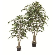 Pokok Buatan Ficus