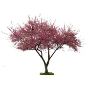Bunga tiruan pokok bunga Peach