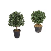 Pohon Laurel Buatan