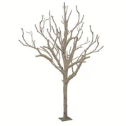 Pokok Birch palsu