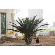 Pokok Palma Tarikh Buatan Hiasan Luar