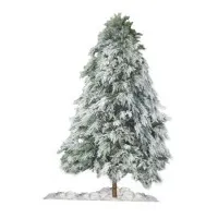 White Pine dengan Salji